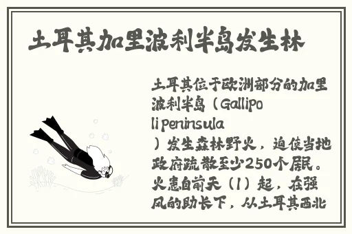 茄子丝瓜榴莲大全